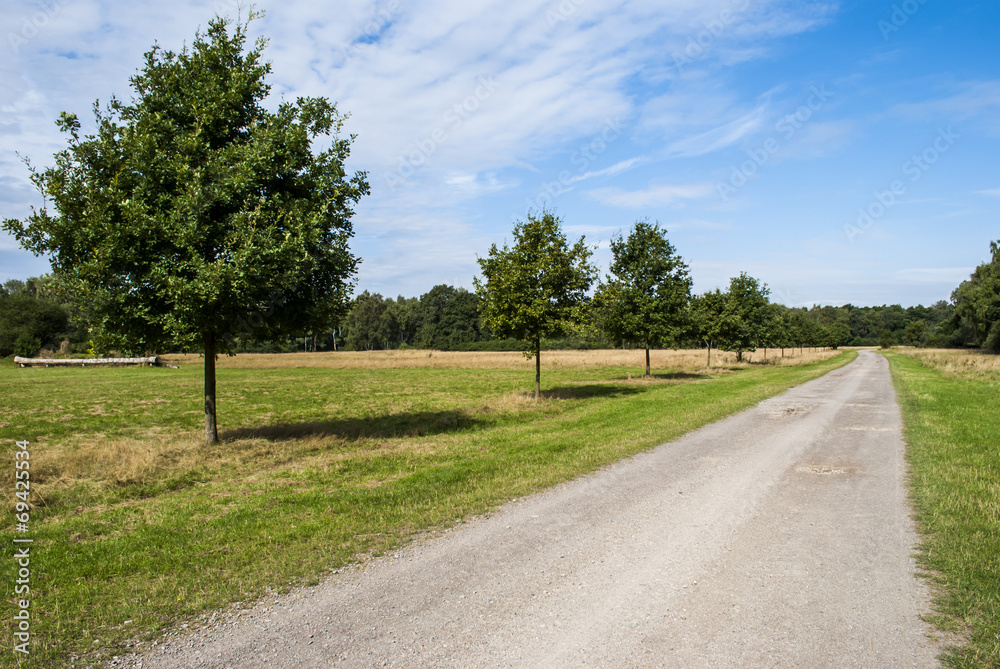 Countryside