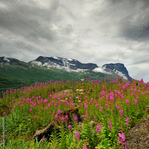 Krajobraz wiejski, Norwegia , Lofoty © janmiko