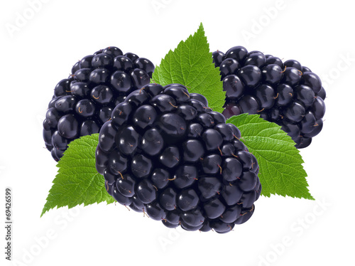 Three blackberries and leaves isolated on white