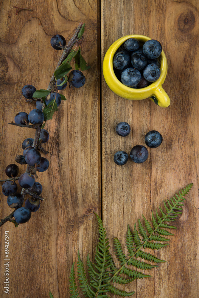 Blueberries on table Blueberries on table