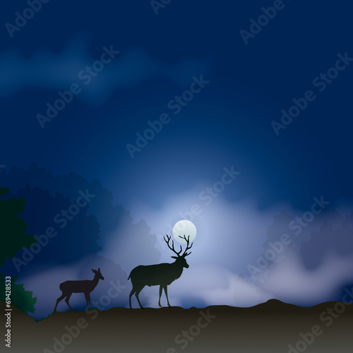 Faune - Cerf à la pleine lune
