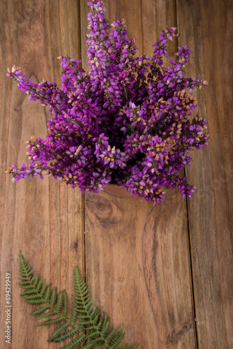 heather in pot