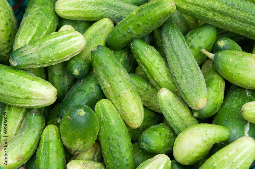 Cucumbers 1