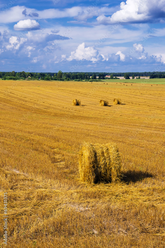 A field with straw bales after harvest