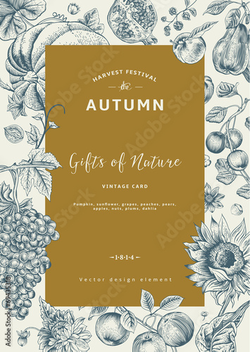 Autumn harvest. Vector vintage card.