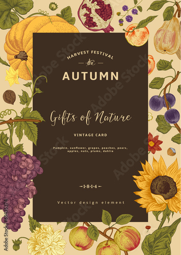 Autumn harvest. Vector vintage card.