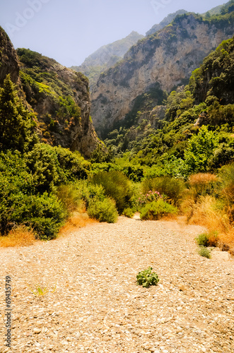 Wild valley lush vegetation. Megalo Seitani, Samos