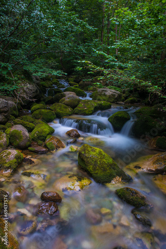 Creek in Valle Pesio