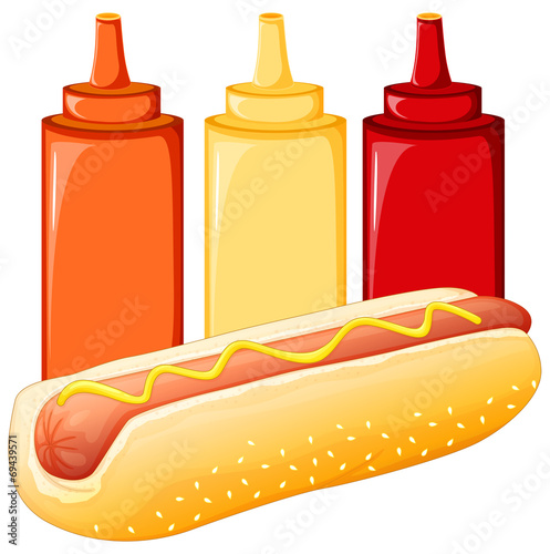 Hot dog