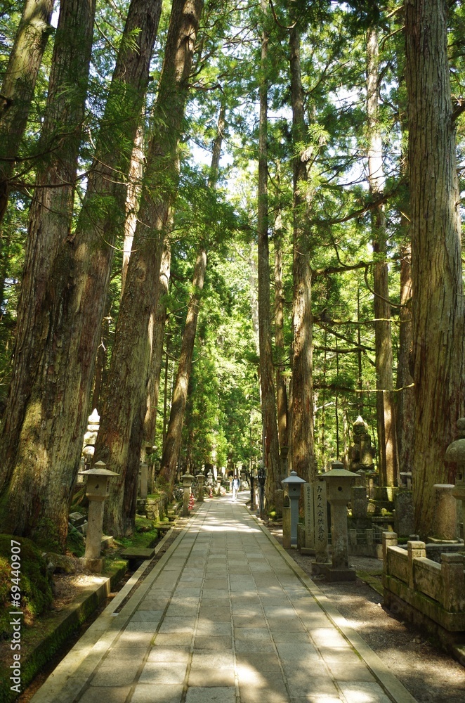 Obraz premium 高野山の参道と墓地