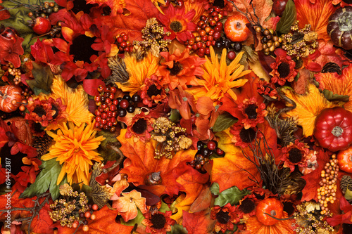Autumn background