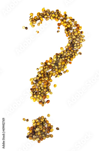 hot spices  on white background