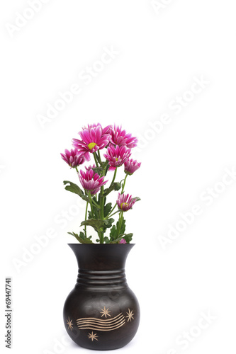 Vase of flowers on a white background