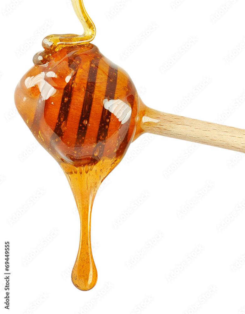 honey honey