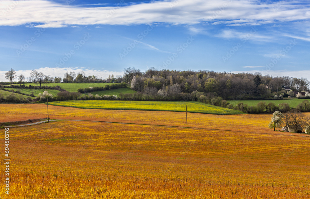 Landscape in the Perche Region of France