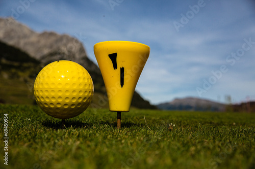 Balisage double jaune pour parcours de golf photo