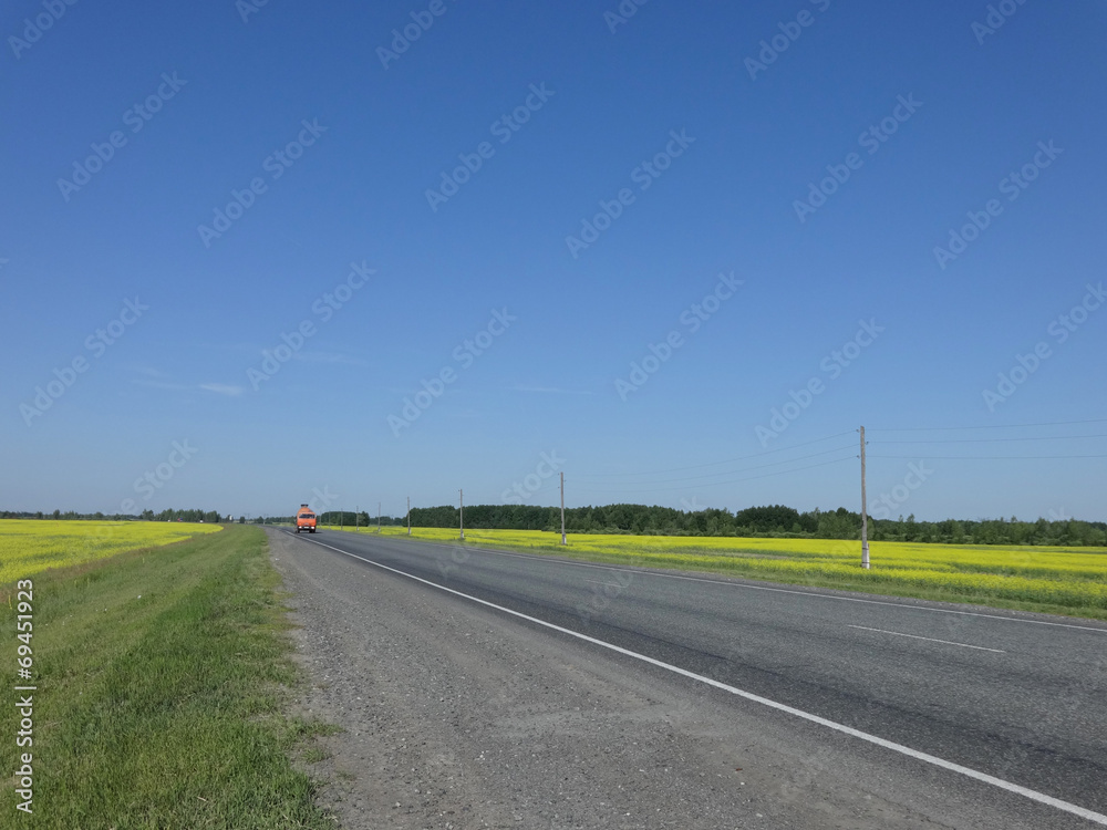 the road with cars goes to a distance through yellow fields