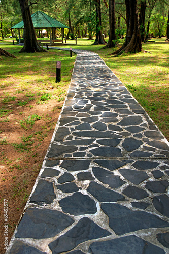 Fototapeta Naklejka Na Ścianę i Meble -  Stone Footpath in the park