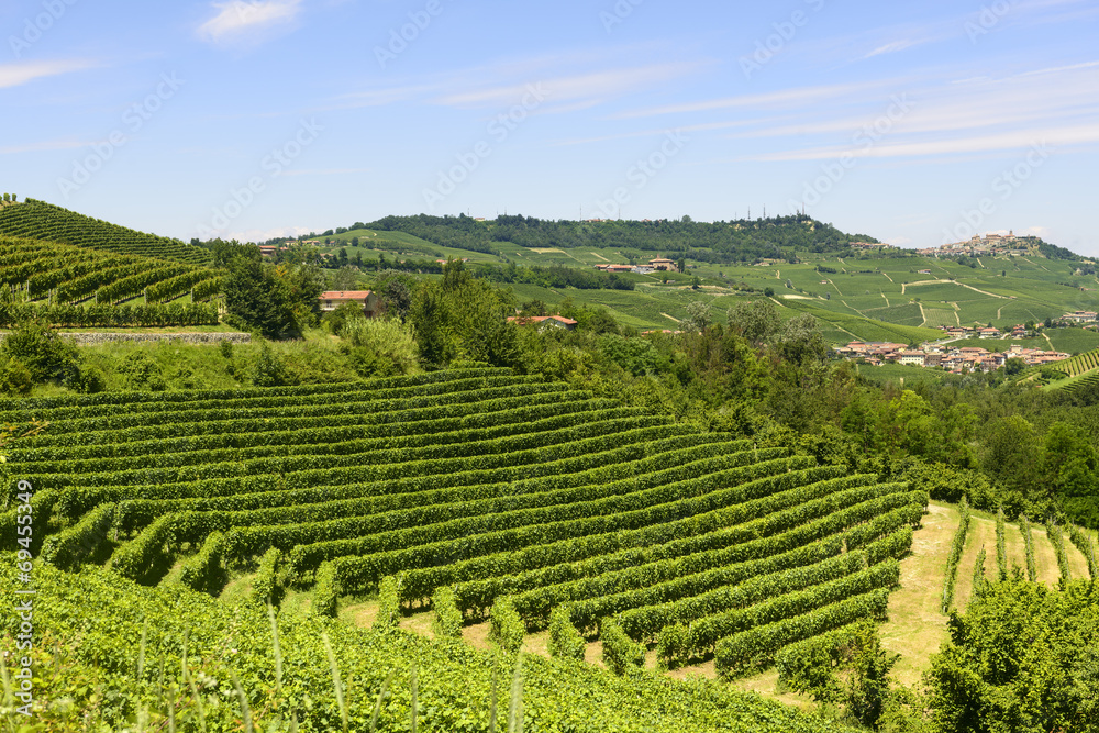 Summer landscape in Langhe (Italy) Summer landscape in Langhe (Italy)