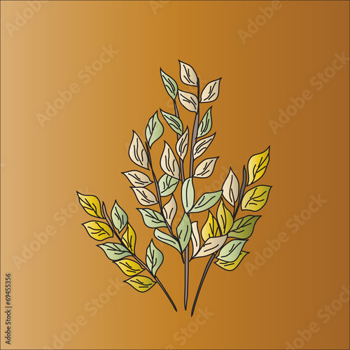 Branches with leaves