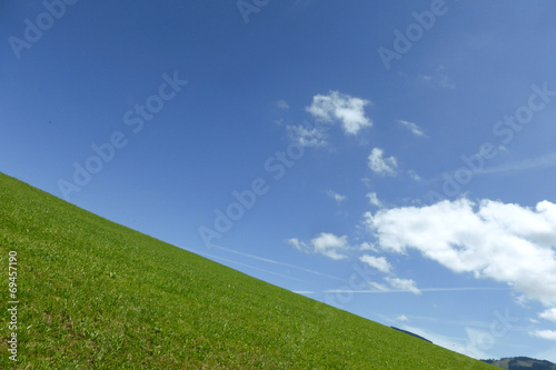 Wiesenpanorama...