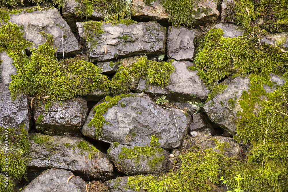 photo of an old brick wall close up shot