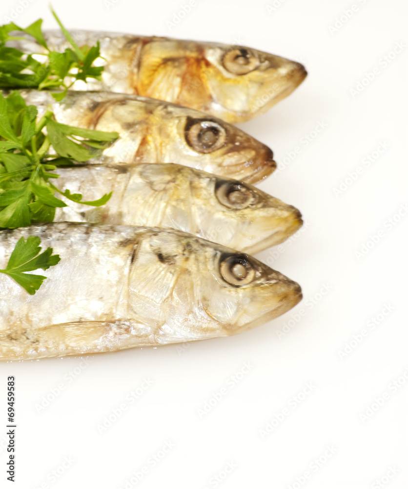 Fresh sardines with parsley leaves