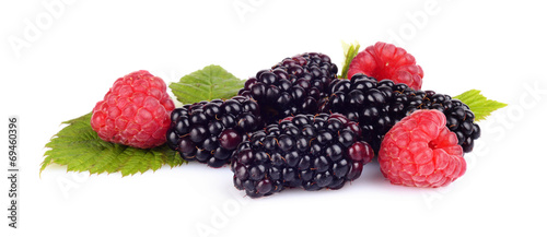 Assorted blackberries and raspberries isolated white background