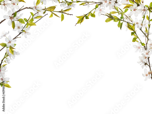 half frame from flowers on spring tree branches
