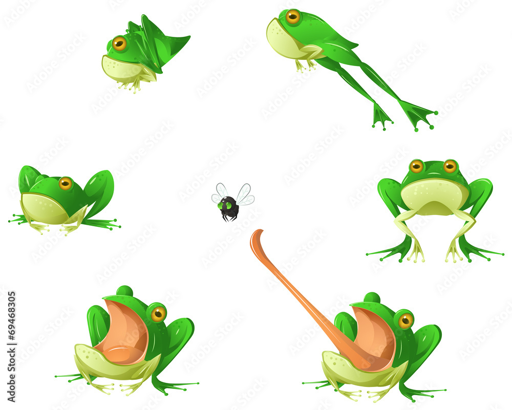 Obraz premium Frog Cartoon Design Element Set