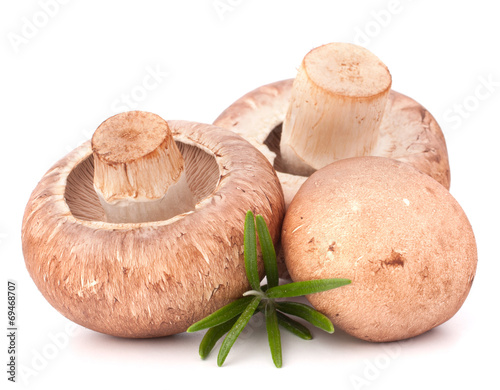 Brown champignon mushroom and rosemary leaves