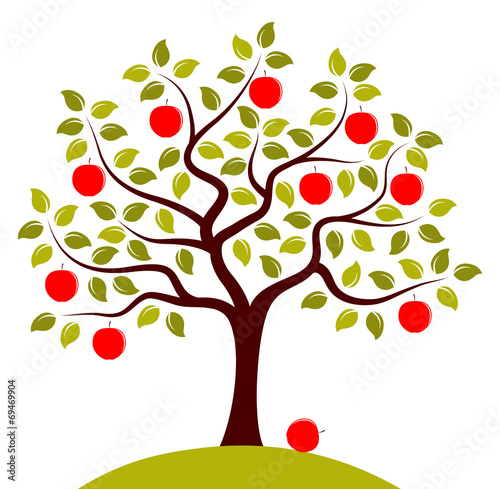 apple tree