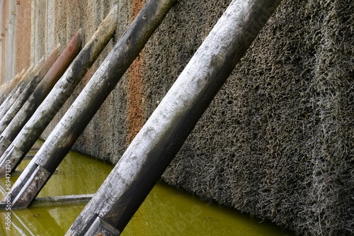 Saline für gesundes Reizklima photo