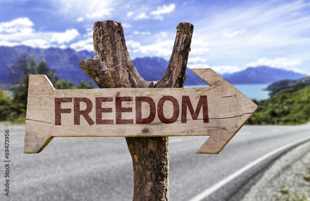 Freedom wooden sign with a street background