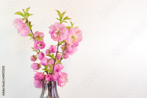 Bouquet of almond blossom isolated on white in a vase