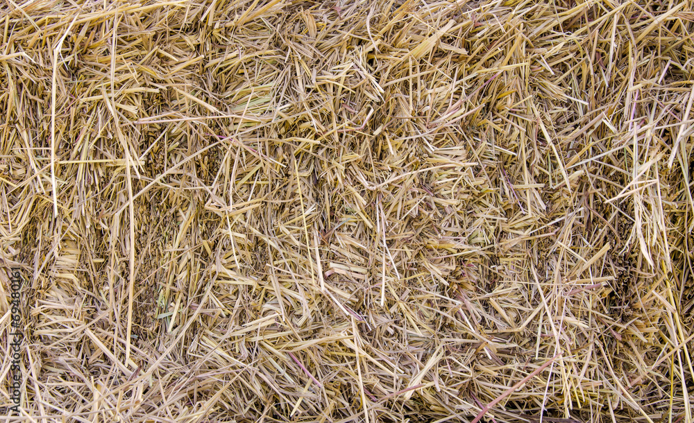 Straw texture for background