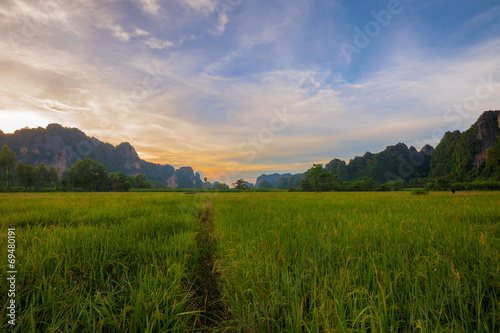 Landscape. Mountain with green rice field during sunset in Phits