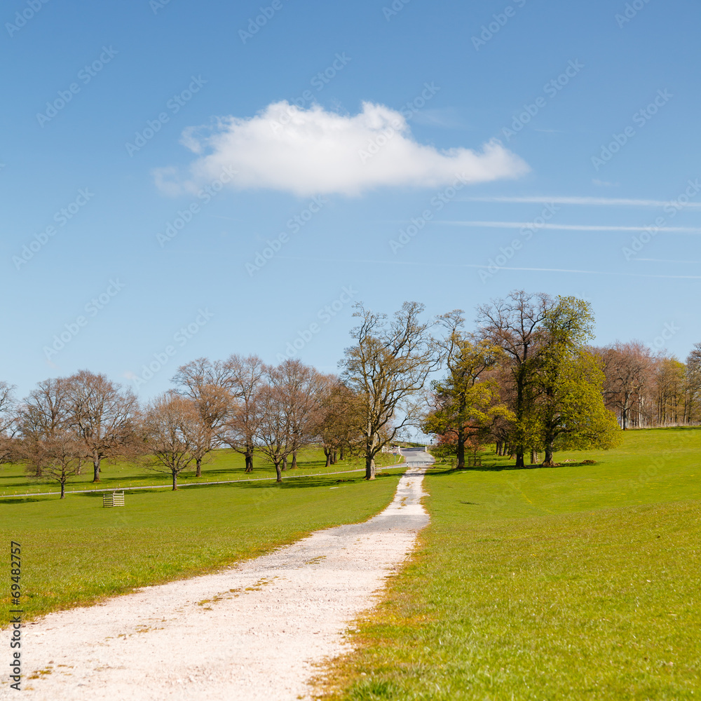 Country Pathway