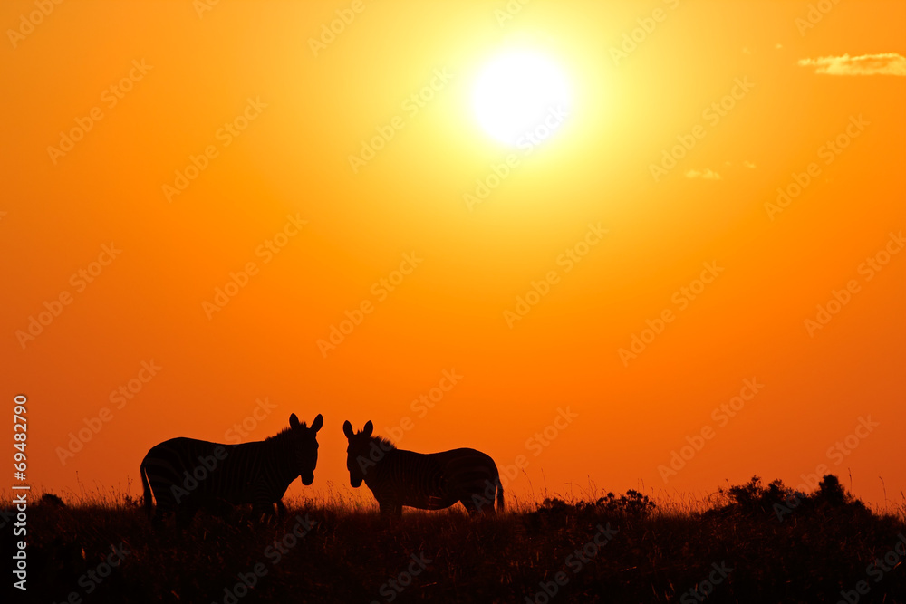 Zebras silhouetted against a red sunrise
