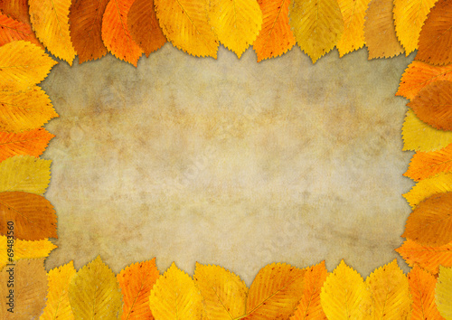 Autumn leaf frame