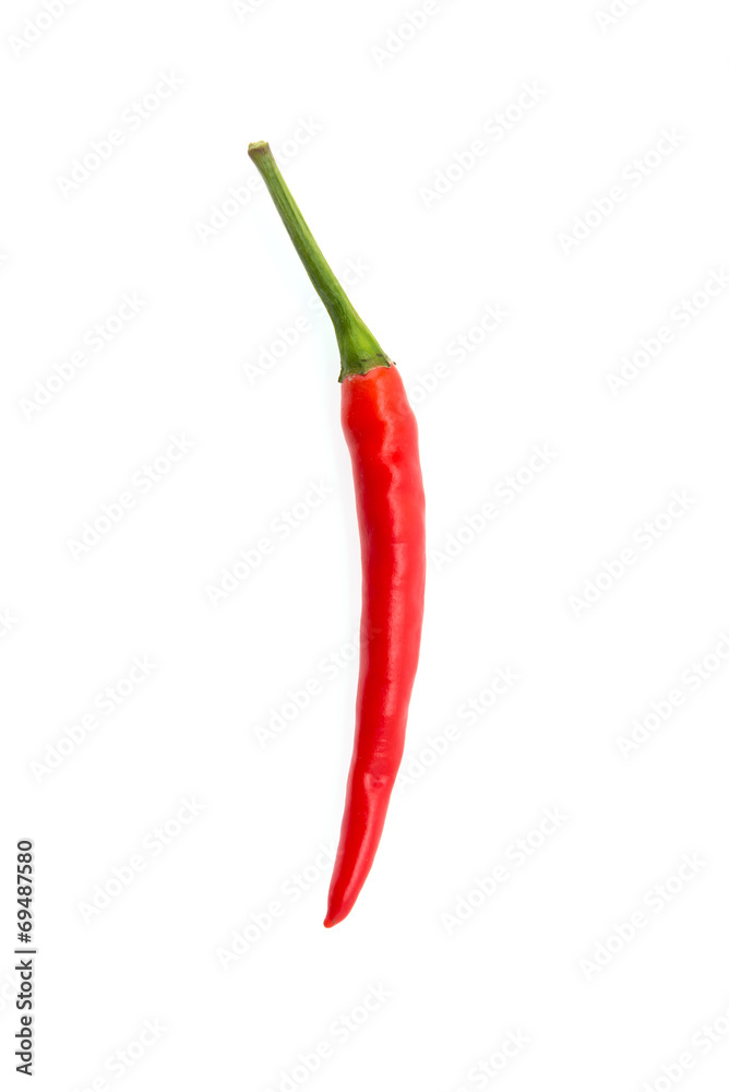 Chilli isolated on white Chilli isolated on white
