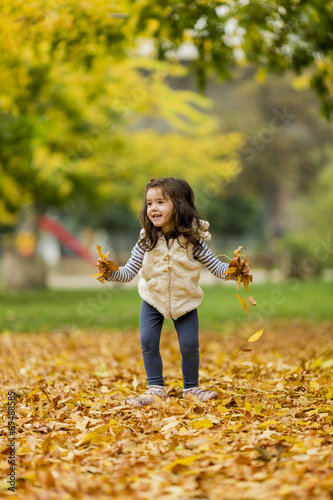 Little girl at the autumn park © BGStock72