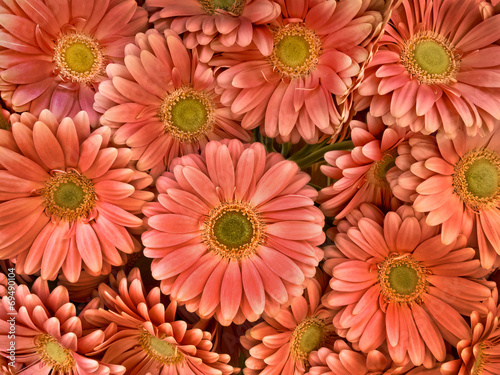 A bouquet of gerberas. Floral background.