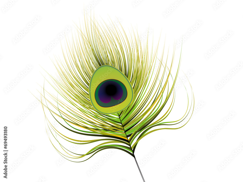 Obraz premium abstract artistic peacock feather