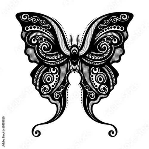 Vector Beautiful Butterfly, Exotic Insect. Patterned design, Tat