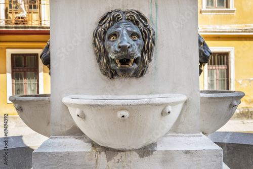 Lion head fountain in spa town Baile Herculane photo
