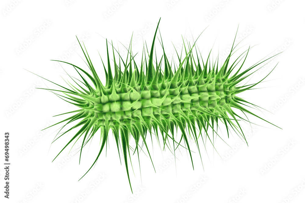 Naklejka premium Ecoli bacterium - 3D Render