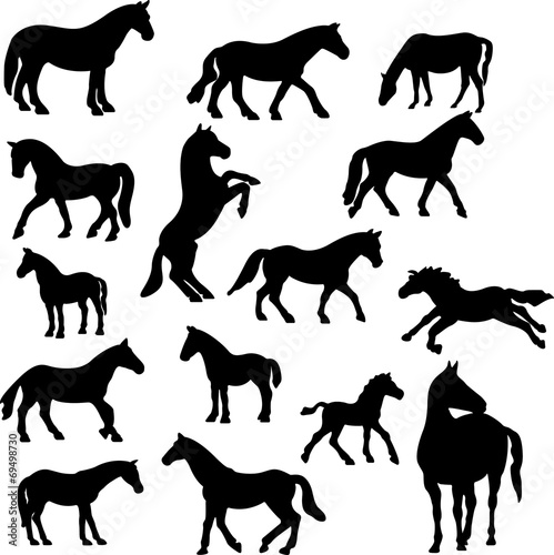 horses collection vector silhouette