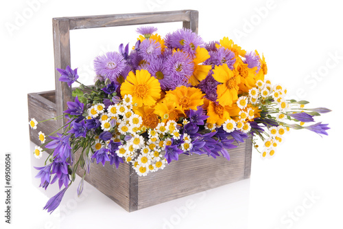 Fototapeta Naklejka Na Ścianę i Meble -  Beautiful flowers in crate isolated on white