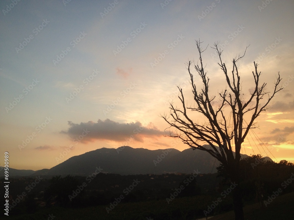 Naklejka premium tramonto